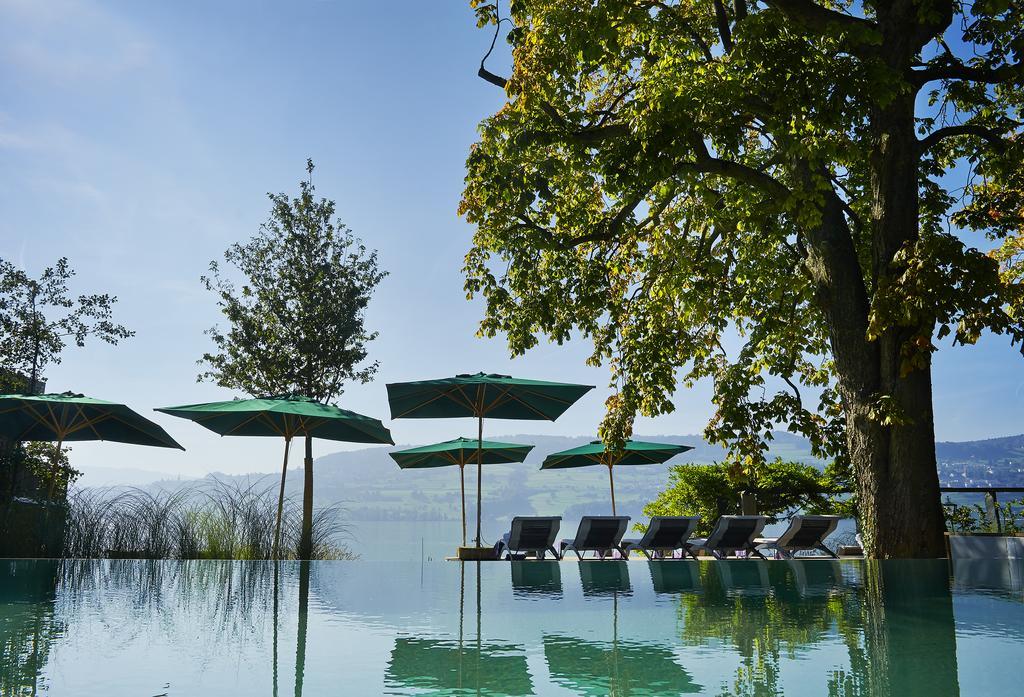 Seerose Resort & Spa Meisterschwanden Экстерьер фото